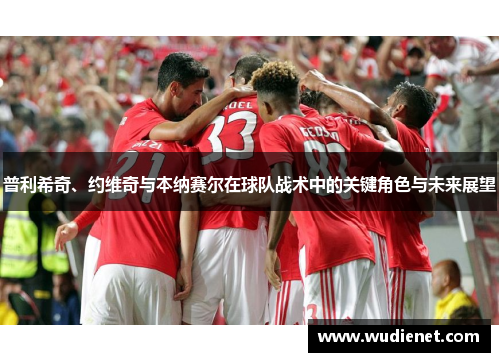 普利希奇、约维奇与本纳赛尔在球队战术中的关键角色与未来展望